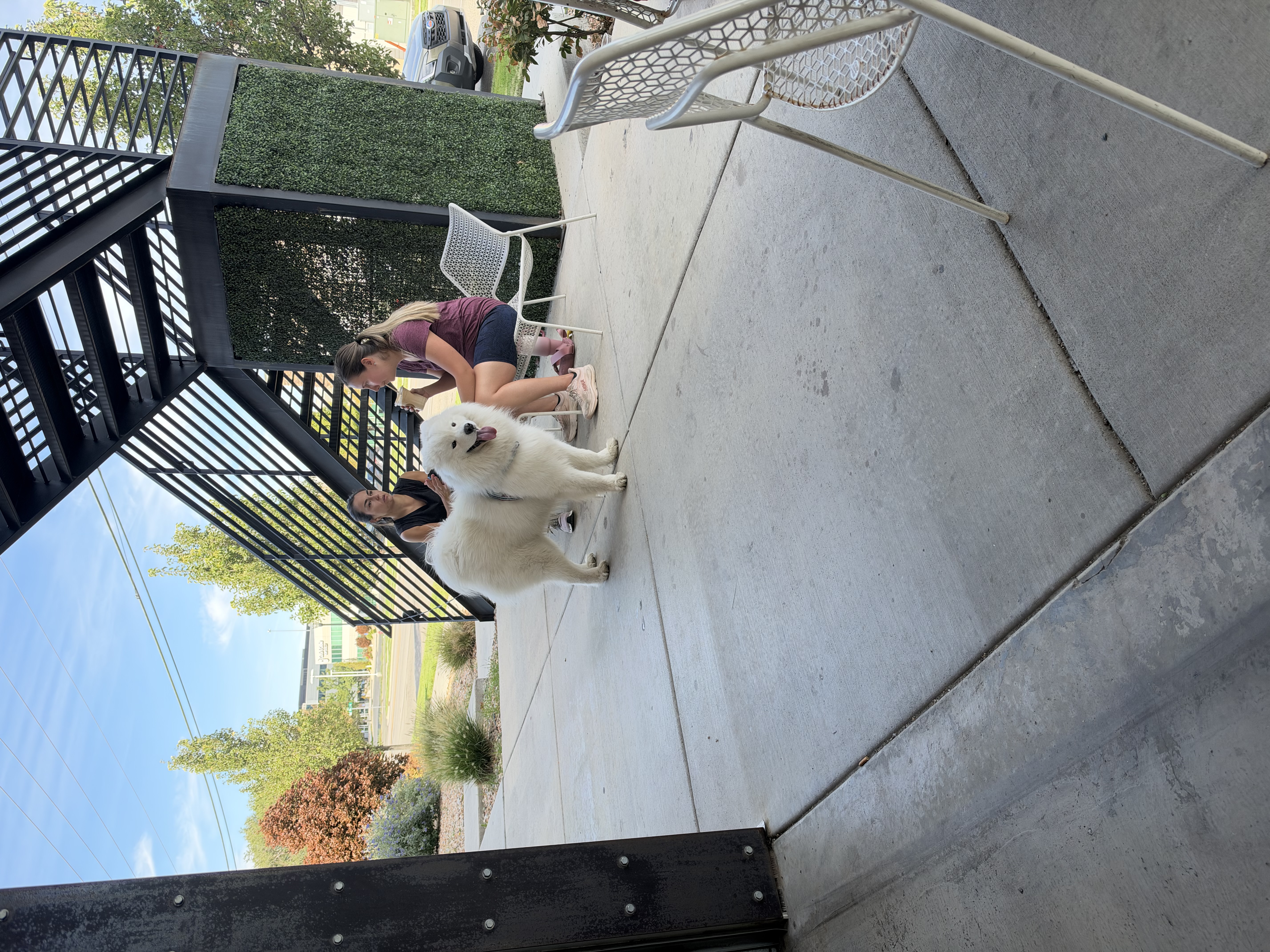 IMG_0108.jpeg